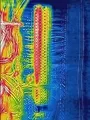 Flir Thermal Image Of Connector Strips Marine Electronics Bay Way